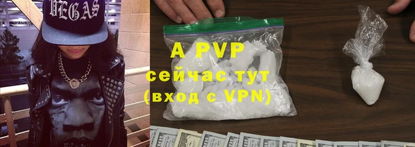 стаф Гусиноозёрск