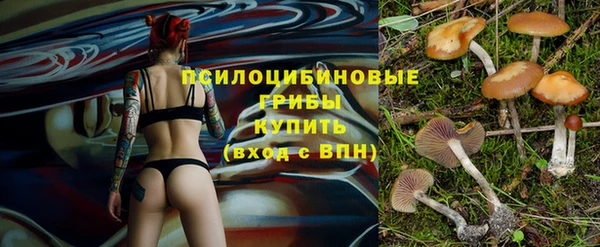 ешки Гусев