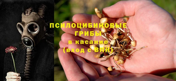 ешки Гусев