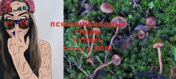 ешки Гусев