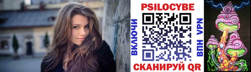 Псилоцибиновые грибы Cubensis купить Мурино